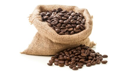 Fototapeta premium Coffee beans in burlap bag isolated. Coffee beans spilled out from burlap sack. Roasted coffee beans falling out of a burlap sack. Sackcloth bag with coffee beans, isolated on white background.