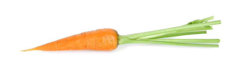One fresh ripe carrot isolated on white