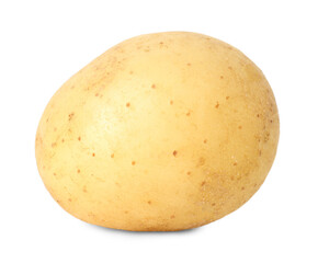 One young fresh potato isolated on white