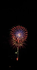 Fototapeta premium Celebratory Fireworks