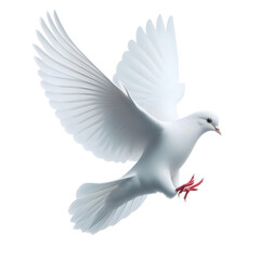 Dove Flying Isolated on transparent Background