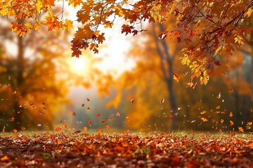Beautiful autumn landscape with yellow trees and sun. Colorful foliage in the park. Falling leaves natural background