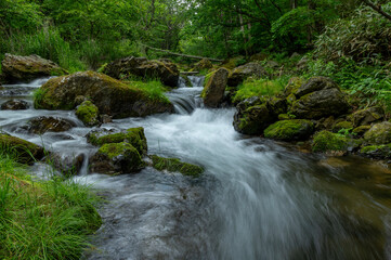 深緑の中を流れる渓流