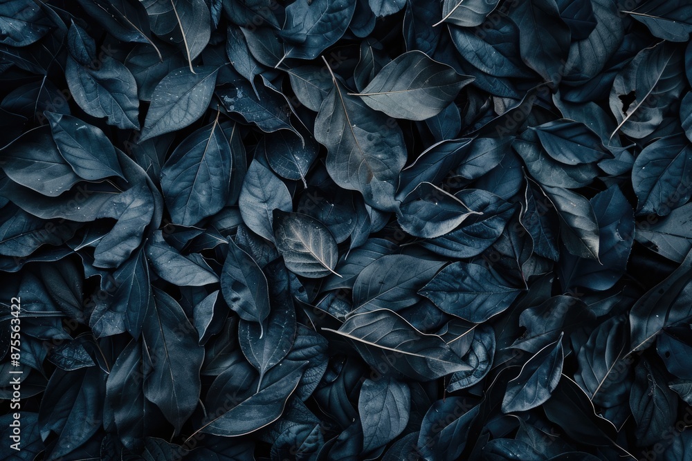 Poster a close up of a bunch of leaves with a blue hue. the leaves are arranged in a way that creates a sen