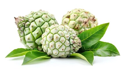 Fototapeta premium Whole ripe sugar apple on white background healthy tropical fruit.