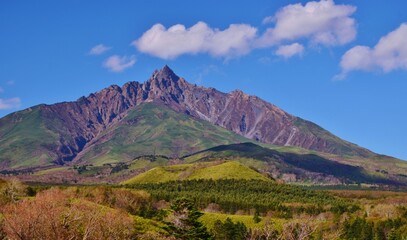 Naklejka premium 青空に映える利尻富士