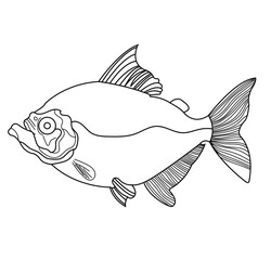 fish icon hand draw vector
