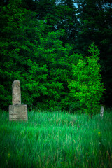 Stone stand in the forest . Green forest . Summer mystery . Stone . Evening time 