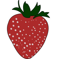 fruit illustration