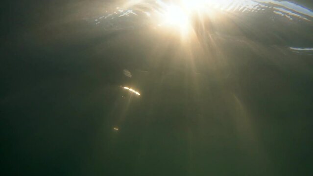 Close-Up Full Frame Of Sunrays Passing Through Tranquil Sea Waves - Dar es Salaam, Tanzania