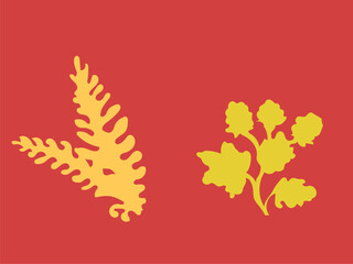 Obraz premium botanical floral illustration