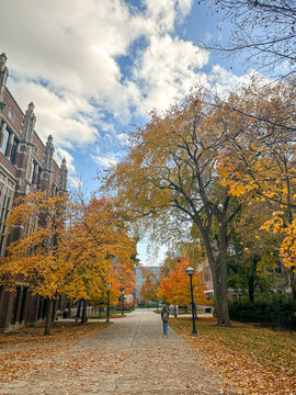 walk on college campus during autumn months