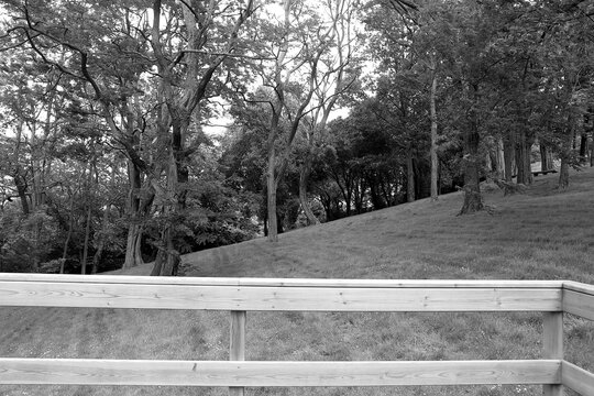 Park of civil war trench, Bilbao.