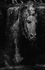 A sculpture with a fierce wild horse galloping and emerging from a waterfall.
