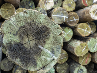 Set of large wooden trunks stacked in an unorganized manner