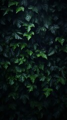 a dark background with green leaves on it