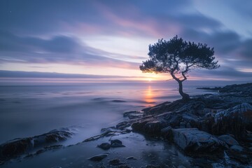 Mental Health, emotional resilience, time-lapse camera, time-lapse lens, sunrise, time-lapse photography, time-lapse film, resilient, soft dawn lighting