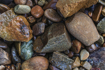 These are wet river pebbles and small round pebbles. Solid background. Top view