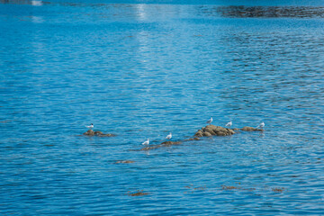 Dunlaoghaire, Dublin, Ireland - seaside city scenery