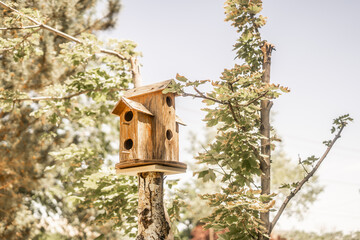Pretty Wooden Birdhouse in Trees
