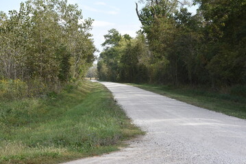 countryside road in the woods