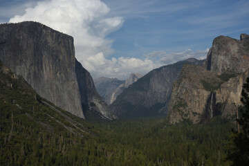 Yosemite NP - Yosemite Valley