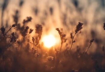 swing athletic attractive green gulf golfcourse female tee abschlag woman abendsonne