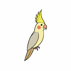  Cockatiel Bird Looks Icon Vector Illustration on White Background with Clear Leg Portion