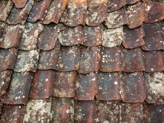 House tiles in damp mountainous areas are filled with lichen