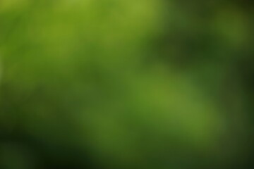 blurred abstract green black smoke