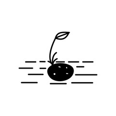 Potato plant growth vector icon. simple flat Growing potato seedling illustration on white background..eps