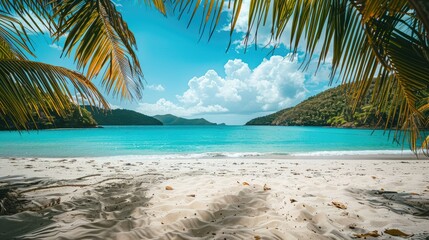 Picturesque beach view with turquoise waters, soft white sand, and palm trees in sunny weather