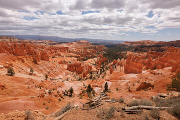 Utah Sunset Point wide angle photo, red rocks, hoodoos, desert vegetation, cloudy sky, late spring 