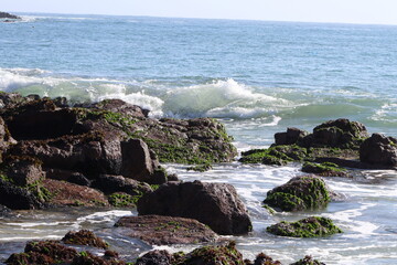 Olas y Rocas 