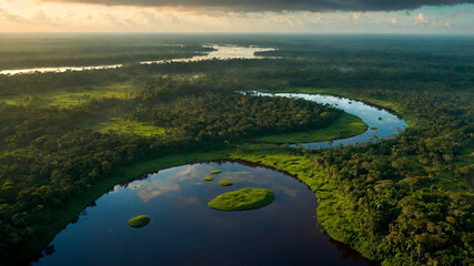 Fototapeta premium Vista Aérea de uma Floresta Tropical: A Majestade da Natureza