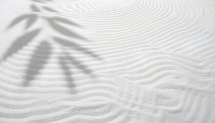 Obraz premium Zen Garden white sand surface with leaf shadow on circles