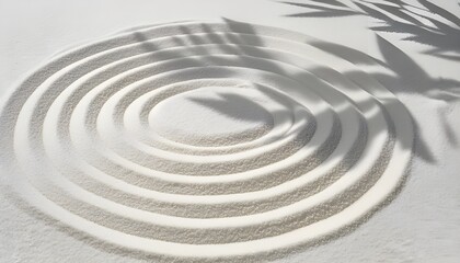  Zen Garden white sand surface with leaf shadow on circles