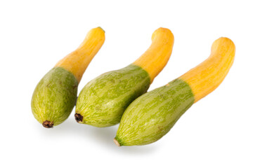 zucchini in studio