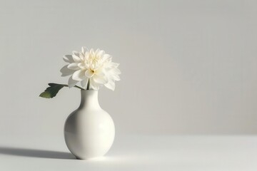 Simple white ceramic vase with a single flower on a light background, minimal simplicity, clean subtle