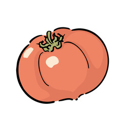 手描きのトマト