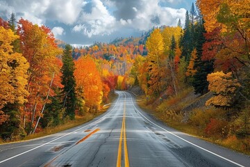 Fototapeta premium Autumn road trip. Highway in beautiful autumn landscape