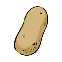 tegaki_vegetable手描きのメークイン