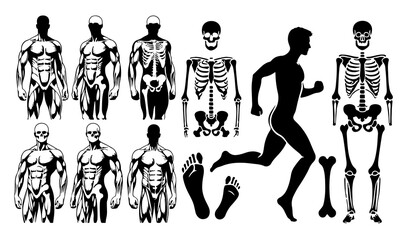 Man bone silhouette in one set of vector illustration style with white background