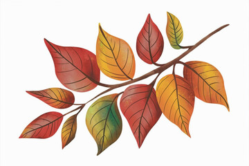 Obraz premium autumn leaves branch 