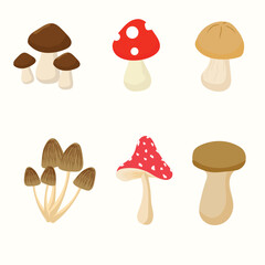 Mushroom set