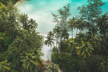 Summer vacation in Tropical paradise, Beautiful tropical beach with scenery palm and azure ocean...