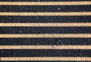 デザイン的な歩道の柵の影