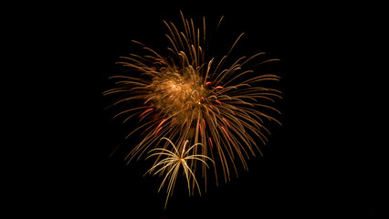 Beautiful gold and red fireworks exploding against a black sky. Copy space.