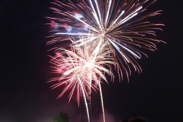 Obraz premium Fireworks Show