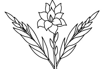 Minimalist stems and leaves vector art illustration